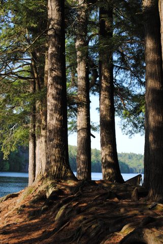 Photo from Canoe camping, Haliburton Highlands Water Trails