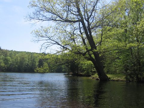 Photo from Canoe camping, Haliburton Highlands Water Trails