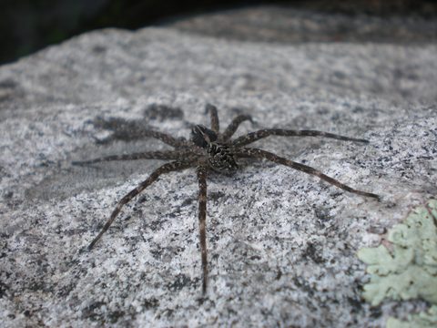 Photo from Canoe camping, Haliburton Highlands Water Trails