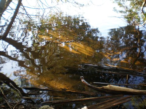 Photo from Canoe camping, Haliburton Highlands Water Trails