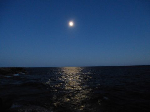 Photo from Sea Kayaking, Franklin, Mink and McCoy Island chains