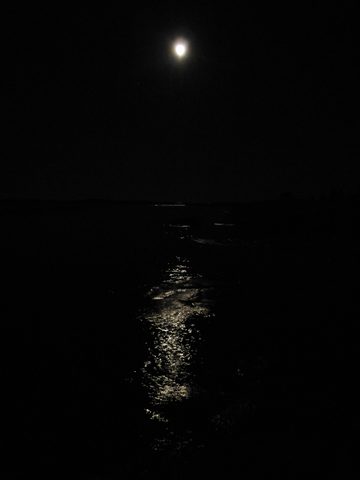 Photo from Sea Kayaking, Franklin, Mink and McCoy Island chains