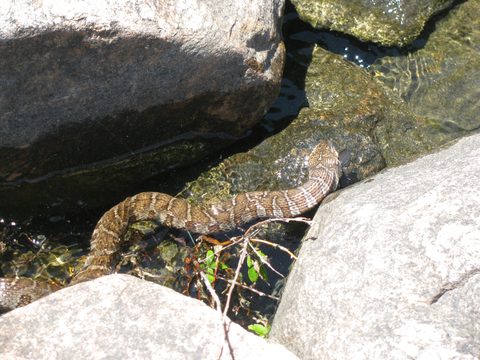 Photo from Sea Kayaking, Franklin, Mink and McCoy Island chains