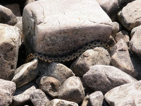 Photo from Sea Kayaking, Franklin, Mink and McCoy Island chains