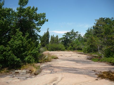 Photo from Sea Kayaking, Franklin, Mink and McCoy Island chains
