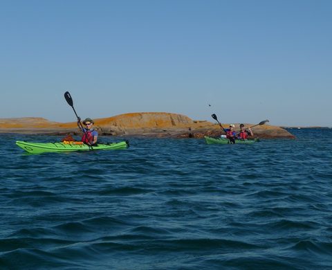 Photo from Sea Kayaking, Franklin, Mink and McCoy Island chains