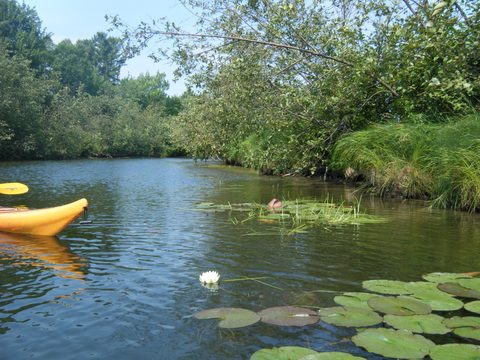 Photo from Sea Kayaking, Phillip Edward Island, Killarney