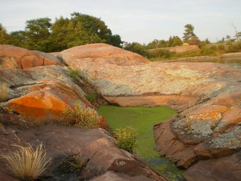 Photo from Sea Kayaking, Phillip Edward Island, Killarney