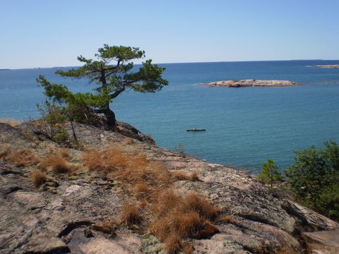 Photo from Sea Kayaking, Phillip Edward Island, Killarney