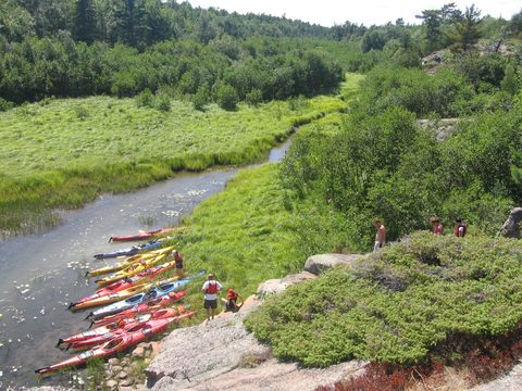Photo from Sea Kayaking, Phillip Edward Island, Killarney