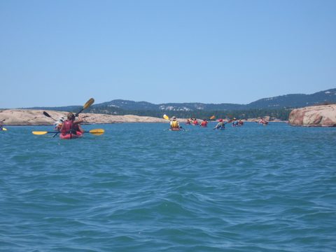 Photo from Sea Kayaking, Phillip Edward Island, Killarney
