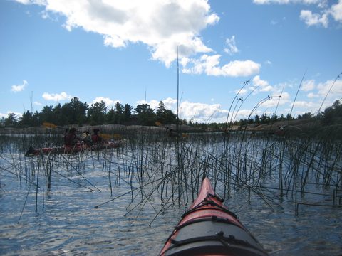 Photo from Sea Kayaking, Phillip Edward Island, Killarney