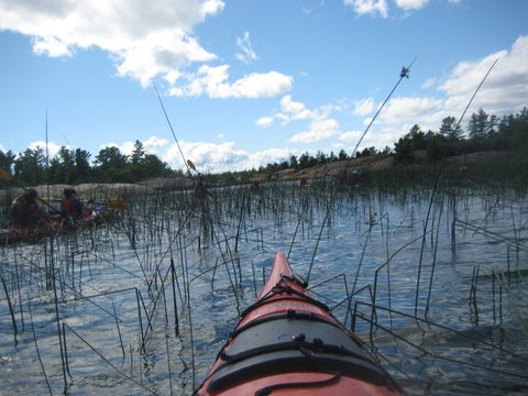 Photo from Sea Kayaking, Phillip Edward Island, Killarney