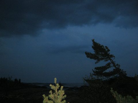 Photo from Sea Kayaking, Phillip Edward Island, Killarney