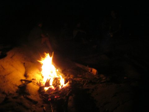 Photo from Sea Kayaking, Phillip Edward Island, Killarney