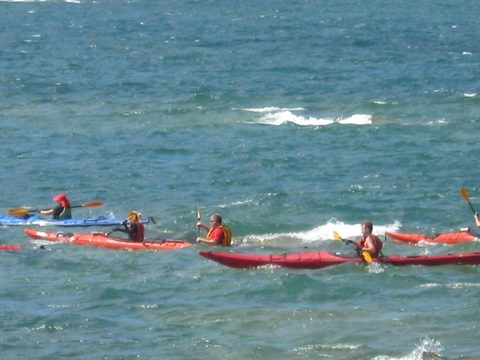Photo from Sea Kayaking, Phillip Edward Island, Killarney