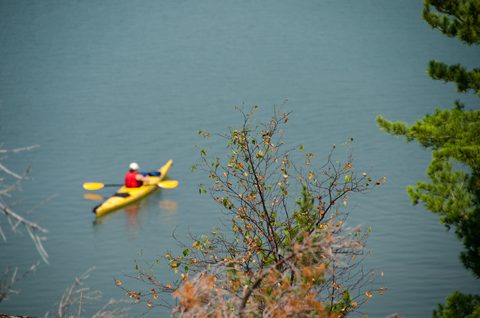 Photo from Sea Kayaking, Phillip Edward Island, Killarney