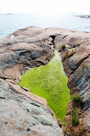 Photo from Sea Kayaking, Phillip Edward Island, Killarney