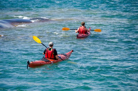 Photo from Sea Kayaking, Phillip Edward Island, Killarney
