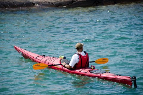 Photo from Sea Kayaking, Phillip Edward Island, Killarney