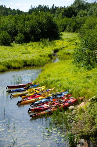 Photo from Sea Kayaking, Phillip Edward Island, Killarney