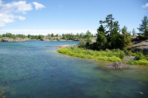Photo from Sea Kayaking, Phillip Edward Island, Killarney