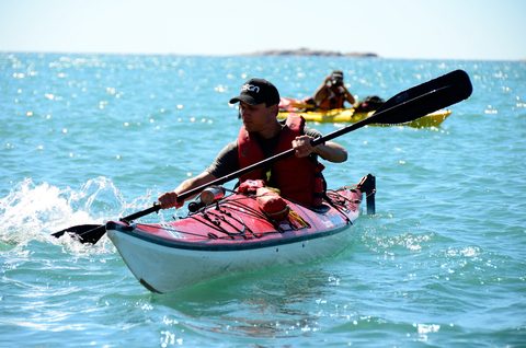 Photo from Sea Kayaking, Phillip Edward Island, Killarney