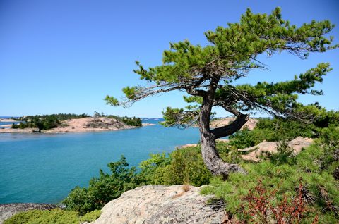 Photo from Sea Kayaking, Phillip Edward Island, Killarney