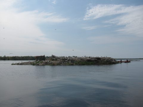 Photo from Canoe Camping, Queen Elizabeth II Wildlands