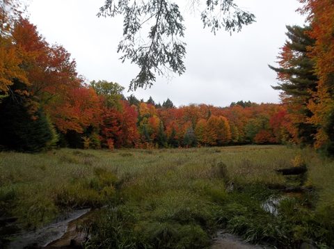 Photo from Intro to backpacking - A first trip
