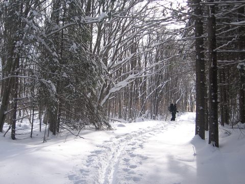 Photo from Ski Camping, Minnesing Wilderness Trail, Algonquin