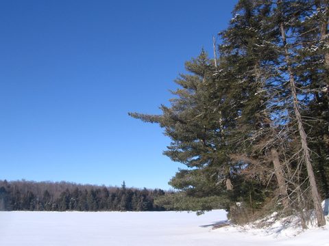 Photo from Snowshoe camping, Maggie Lake, Algonquin