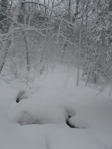Photo from Maggie Lake Snowshoeing and Winter Camping