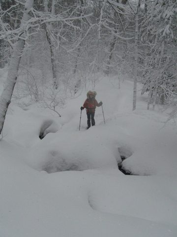 Photo from Maggie Lake Snowshoeing and Winter Camping