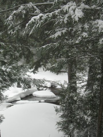 Photo from Maggie Lake Snowshoeing and Winter Camping