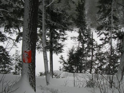 Photo from Maggie Lake Snowshoeing and Winter Camping