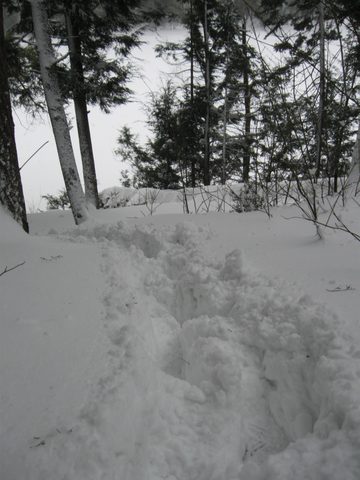 Photo from Maggie Lake Snowshoeing and Winter Camping