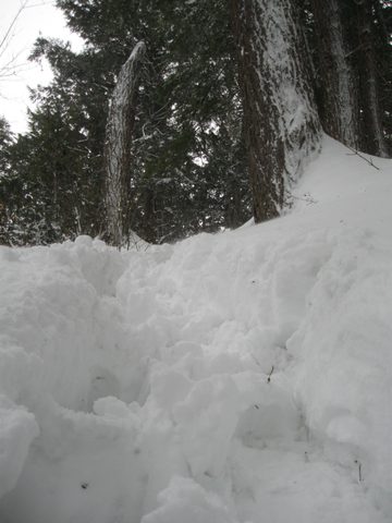Photo from Maggie Lake Snowshoeing and Winter Camping