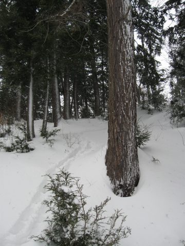 Photo from Maggie Lake Snowshoeing and Winter Camping