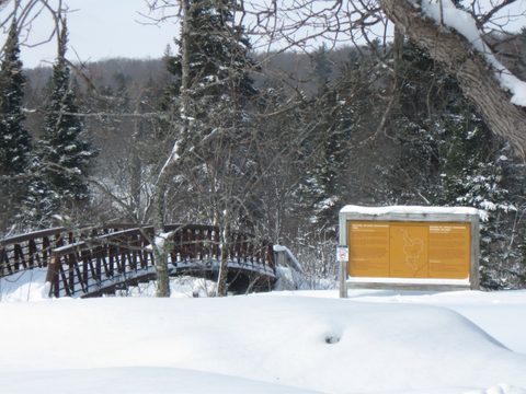 Photo from Maggie Lake Snowshoeing and Winter Camping