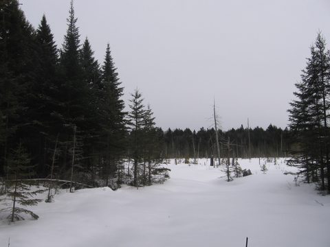 Photo from Backpacking, Algonquin, mode of travel?