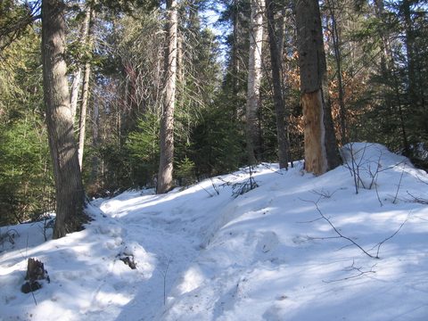 Photo from Backpacking, Algonquin, mode of travel?