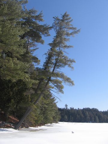 Photo from Backpacking, Algonquin, mode of travel?