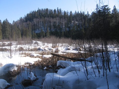 Photo from Backpacking, Algonquin, mode of travel?