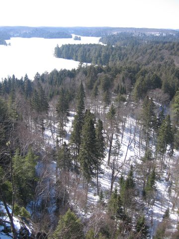Photo from Backpacking, Algonquin, mode of travel?