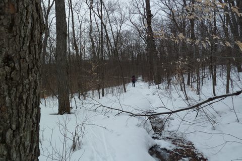 Photo from Backpacking, Algonquin, mode of travel?