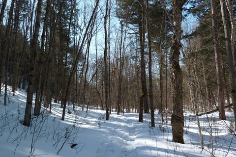 Photo from Backpacking, Algonquin, mode of travel?