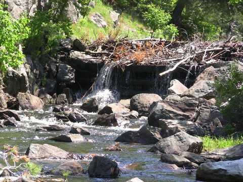 Photo from Canoe camping & hike, Killarney Provincial park