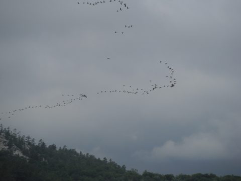 Photo from Canoe camping & hike, Killarney Provincial park