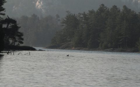 Photo from Canoe camping & hike, Killarney Provincial park